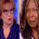 Whoopi And Joy’s Contracts For